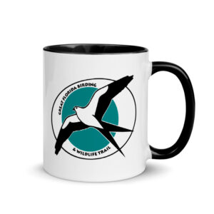 Mugs & Water Bottles